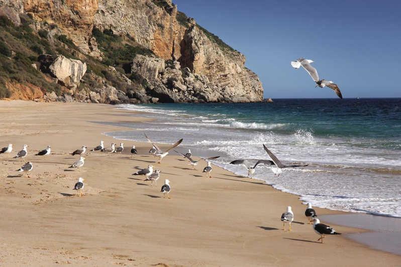 Appartamento Refugio De Zimbra Sesimbra Esterno foto